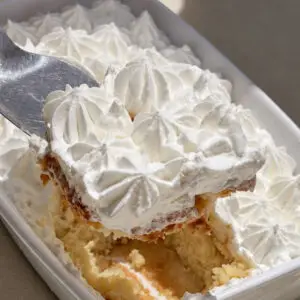 TRES LECHES